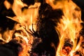 Fire flames from Wood burning oven Royalty Free Stock Photo