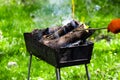 Fire, flames from wood ember for grill or bbq picnic, fume and firewood outdoo Royalty Free Stock Photo