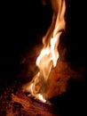 fire flames woods fireplace winter