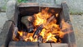 Bonfire with bright orange flame in old firewood brazier made from burnt smoky bricks into ground. Royalty Free Stock Photo