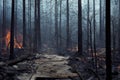 Fire flare in forest with smoke among trees dramatic background. Strong wildfire devouring hills and plants with