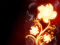 Fire Flower Royalty Free Stock Photo