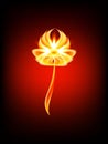 Fire flower 3