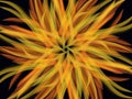 Fire flower abstrak