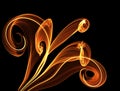 Fire flower fantasy abstract background on black Royalty Free Stock Photo