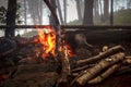 Fire in foggy wood