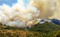 Fire in forest areas in Viotia in Central Greece Royalty Free Stock Photo