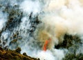 Fire in forest areas in Viotia in Central Greece Royalty Free Stock Photo
