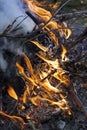 Inflaming the fire. Fire. The fire in the forest. Burning branches Royalty Free Stock Photo