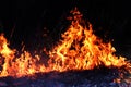Fire, Forest fire at night, Fire burning hay Selective focus Royalty Free Stock Photo