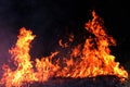 Fire, Forest fire at night, Fire burning hay Selective focus