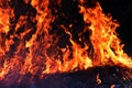 Fire, Forest fire at night, Fire burning hay Selective focus