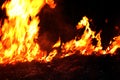 Fire, Forest fire at night, Fire burning hay Selective focus