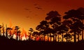 Fire in forest flat vector illustration. Birds flying over fire flame. Wildfire landscape, wildland. Natural ecology