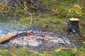 fire in the forest Near meadows for grazing. A lot of smoke on the background of the trees. Royalty Free Stock Photo