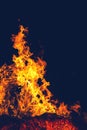 Fire in the forest at night Royalty Free Stock Photo