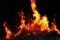 Fire, Forest fire at night, Fire burning hay Selective focus