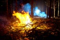 Fire in forest, at night. Close Royalty Free Stock Photo