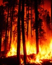 Fire in the forest at night, generative ai Royalty Free Stock Photo