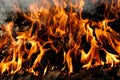 Fire frame background Royalty Free Stock Photo