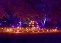 `Fire Garden` in the Lightscape exhibition at the Forth Worth Botanic Garden in Texas.