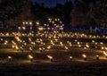 `Fire Garden` in the Lightscape exhibition at the Forth Worth Botanic Garden in Texas.