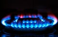 Fire of the gas stove over black background Royalty Free Stock Photo
