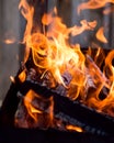 Fire in the grill, bonfire, flame. Burning firewood close up. Charcoal Royalty Free Stock Photo