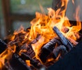 Fire in the grill, bonfire, flame. Burning firewood close up. Charcoal Royalty Free Stock Photo