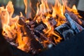 Fire in the grill, bonfire, flame. Burning firewood close up. Charcoal Royalty Free Stock Photo