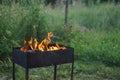 The fire in the grill Royalty Free Stock Photo