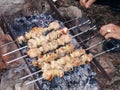 the fire grill skewer meat sallyl