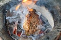 Fire grilled meat Royalty Free Stock Photo