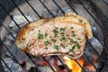 Fire grilled meat Royalty Free Stock Photo