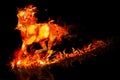 Fire horse Royalty Free Stock Photo