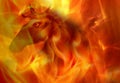 Fire horse. Abstract horse and fire background.