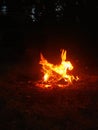 The Fire Horse appeared at the campfire in a summer full of adventures through the forests of Moldova Royalty Free Stock Photo