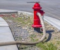 Fire hose conncted to hydrant Royalty Free Stock Photo