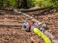 Fire hose forest fire in Germany Royalty Free Stock Photo