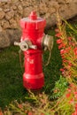 Red fire hydrant Royalty Free Stock Photo