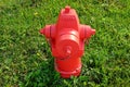 Fire hydrant against a green lawn Royalty Free Stock Photo