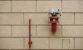 Fire hydrant on brick wall for ceasing fire outdoors building