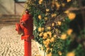 A fire hydrant on the city street Royalty Free Stock Photo