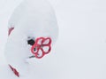Fire hydrant covered with snow after heavy snowfall Royalty Free Stock Photo