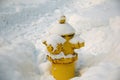 Fire hydrant covered with snow Royalty Free Stock Photo