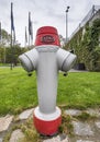 Fire hydrant in FIFA park Royalty Free Stock Photo
