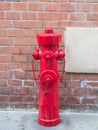 Fire hydrant or fireplug connection for firefighters in public