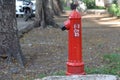 Fire hydrant, fireplug, or firecock on a street side. It is a connection point by which firefighters can tap into a water supply Royalty Free Stock Photo