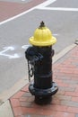 Fire hydrant in in Boston. Massachusetts. Royalty Free Stock Photo