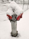 Fire hydrant in grey red snow-covered Royalty Free Stock Photo